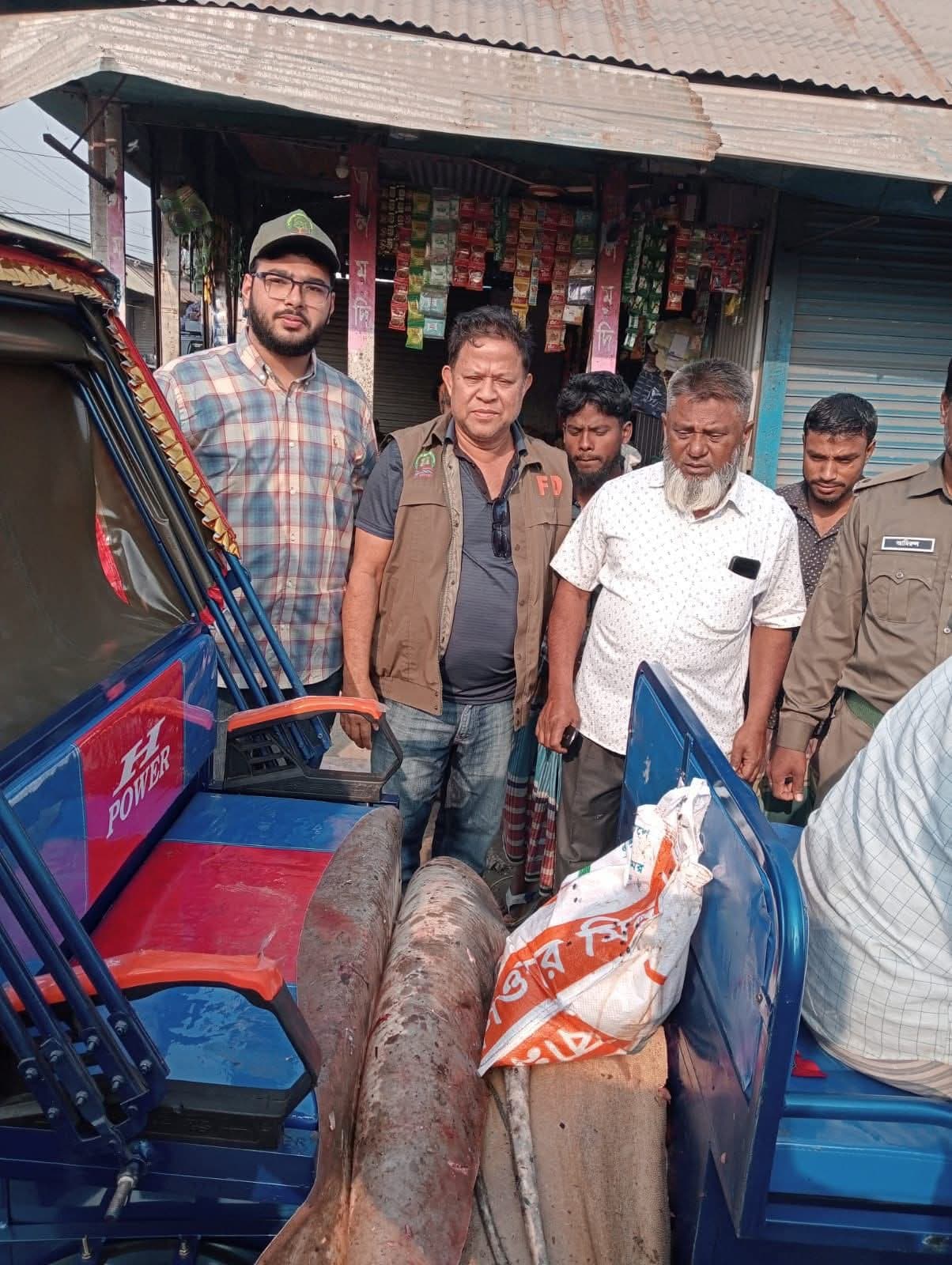 সোনাপুরে ১১৩ কেজির শাপলাপাতা মাছ জব্দ, পরে মাটিচাপা