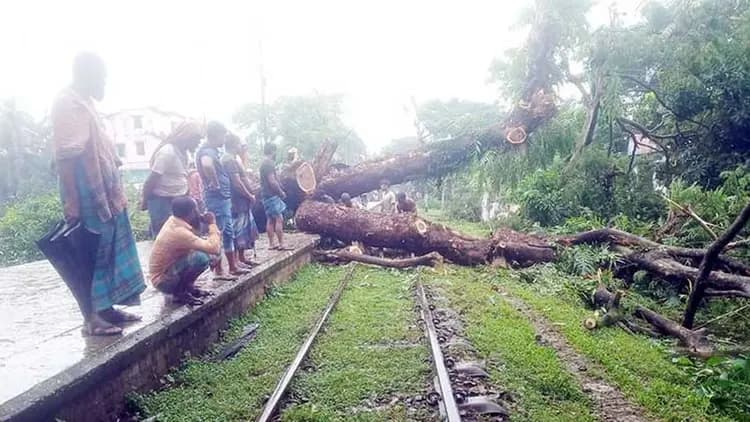 নোয়াখালী ঝড়ে রেললাইনে গাছ পড়ে ২ ঘণ্টা ট্রেন চলাচলে বিঘ্ন