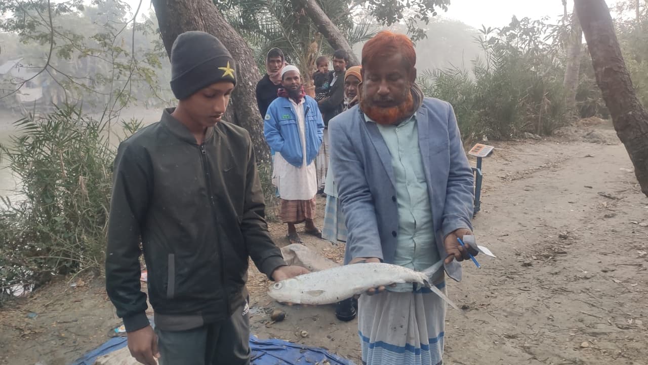 নিঝুম দ্বীপে মিলল বিরল প্রজাতির মিল্ক ফিশ