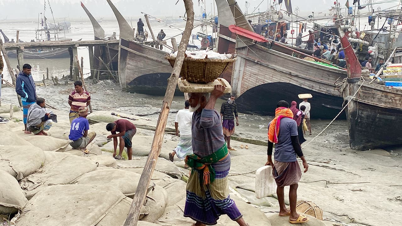 শীতের শুরুতেই সমুদ্রে মাছের সংকট, হতাশায় জেলে ও ব্যবসায়ীরা