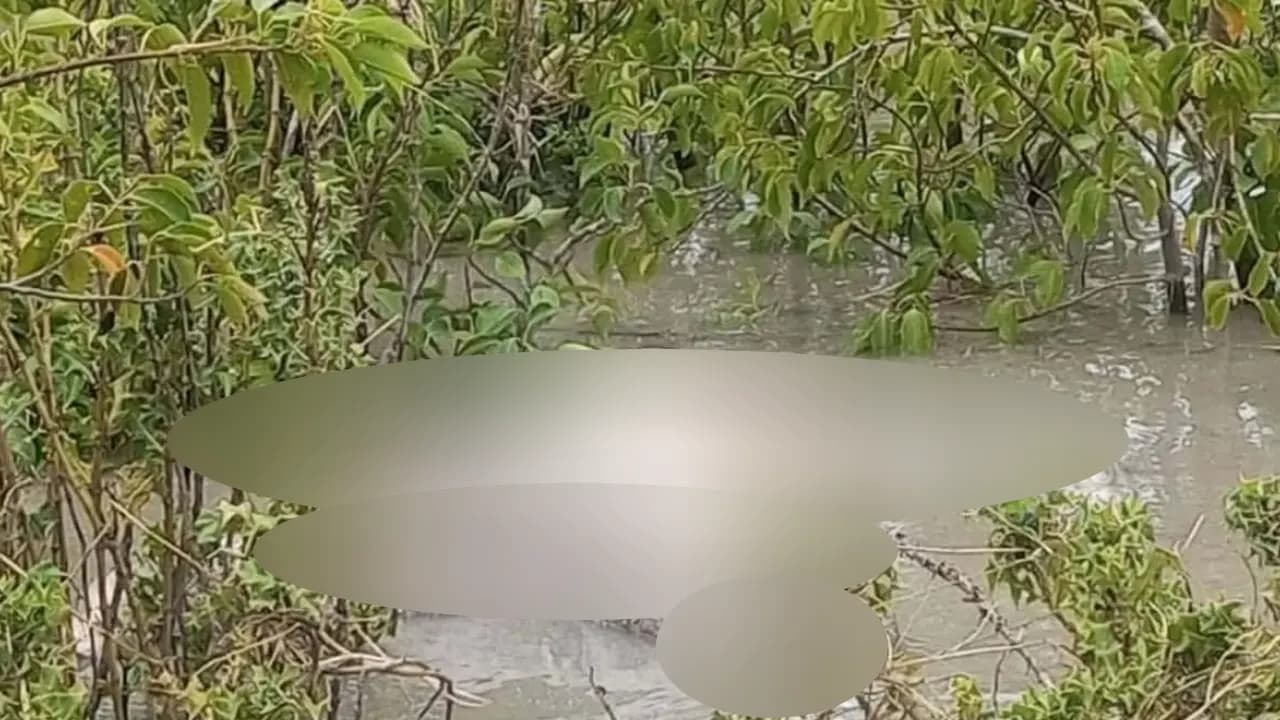 নিঝুমদ্বীপে ২৪ ঘণ্টা ধরে পড়ে আছে অজ্ঞাত লাশ