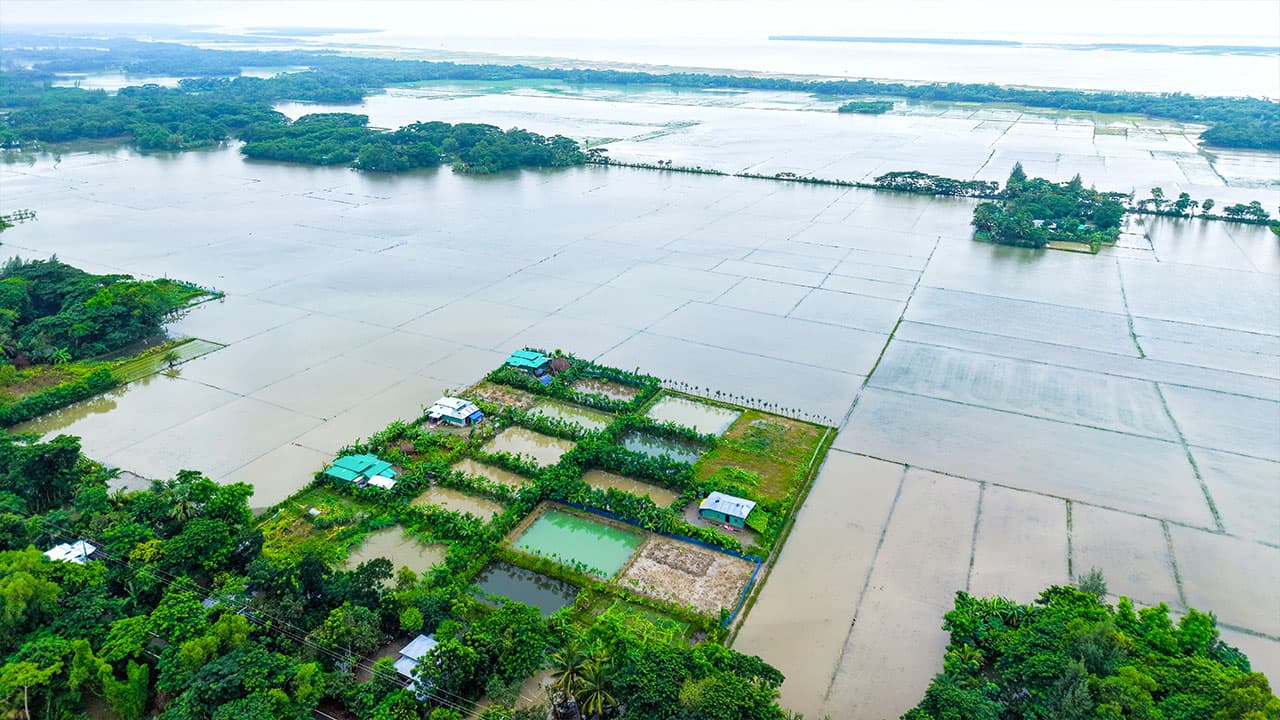 টানা বর্ষণে হাতিয়ায় কৃষি খাতে ২০ কোটি টাকার লোকসানের আশঙ্কা