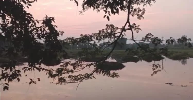 পরিযায়ী পাখির জন্য প্রস্তুত হচ্ছে নোবিপ্রবির ‘ময়না দ্বীপ’